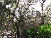 St. Augustine - Jan 2012 125